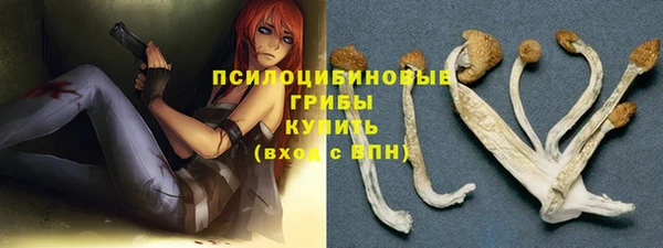 марихуана Абаза