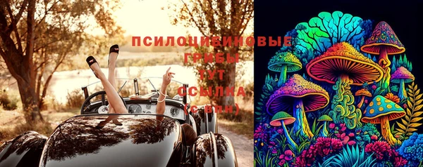 Альфа ПВП Абдулино