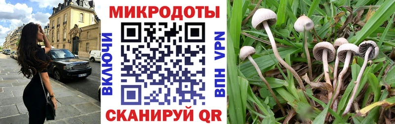 Галлюциногенные грибы Magic Shrooms  blacksprut маркетплейс  Уварово 
